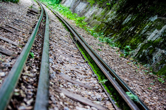 Railway tracks through forest