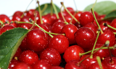 Fresh cherry fruit close up