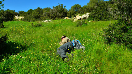 Rest on the green grass