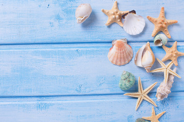 Marine items on blue wooden background