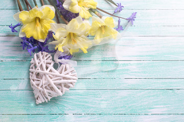 Yellow and blue spring flowers and decorative heart