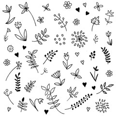 Hand drawn vintage floral elements. 