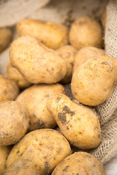 Dirty White Potatoes