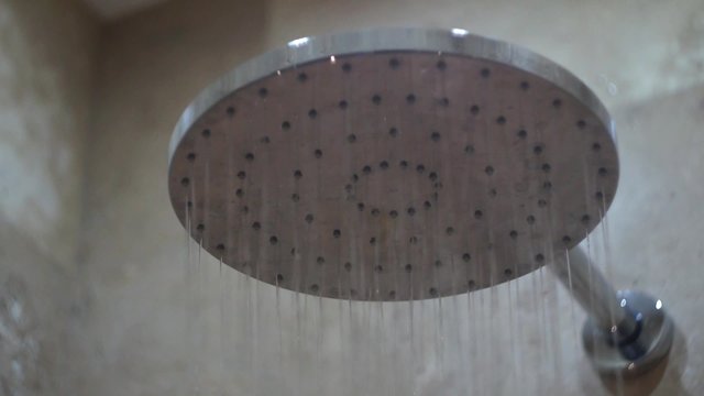 Shower Head