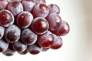 デラウェア_ぶどう