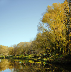 autumn lake