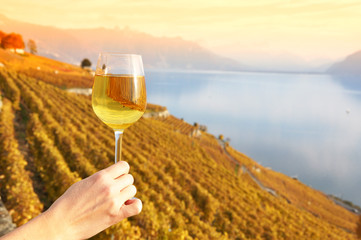 Wineglass in the hand against vineyards in Lavaux region, Switze