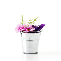 steel bucket with flower on white