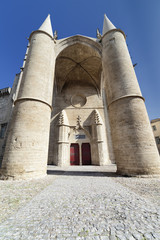 Entrance of the Saint Pierre Cathedral in Montpellier
