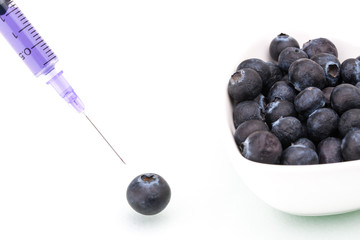 Genetic Modification, blueberry, fruit, modification