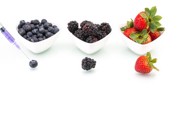 Genetic Modification, blueberry, blackberry, strawberry, fruit,