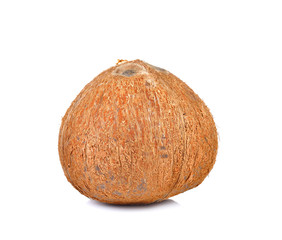 coconut  on white background