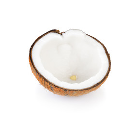 coconut  on white background