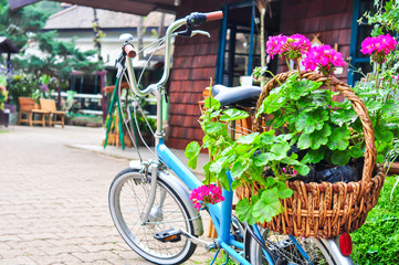 Fototapeta na wymiar Bicycle and flower