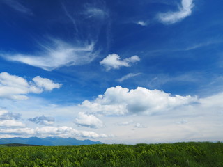 夏空と草原