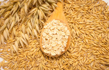 grain oats and oatmeal