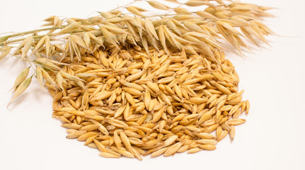 grain oats and oatmeal