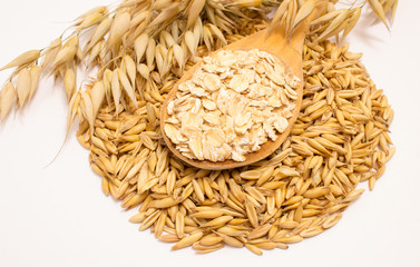 grain oats and oatmeal