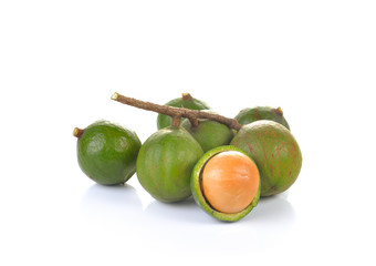 macadamia nuts on white background