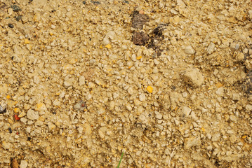 abstract natural pattern, yellow sand, ground texture