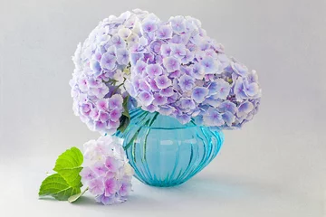 Photo sur Plexiglas Hortensia beautiful hydrangea flowers in a vase. vintage style ,grunge paper background. 