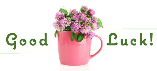 Clover flowers in cup isolated on white with text Good Luck