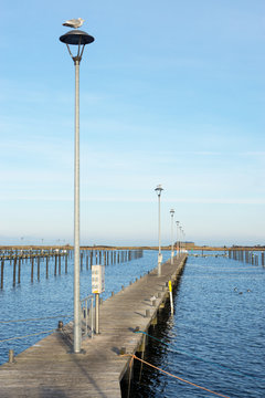Winterlich leere Marina in Heiligenhafen an der Ostsee, Deutschland