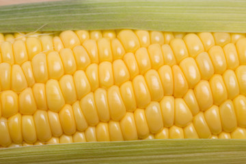 生のトウモロコシ