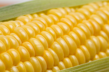 生のトウモロコシ