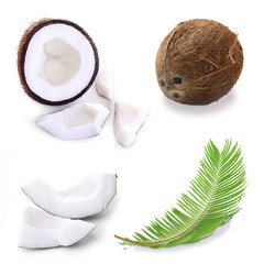 Coconut collage