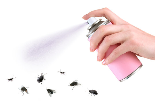 Plastic sprayer with insecticide and stinging insect isolated on white