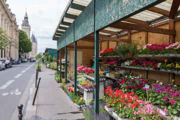 Fototapeta na wymiar Flower stall along Seine river in Paris