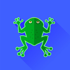 Green Frog