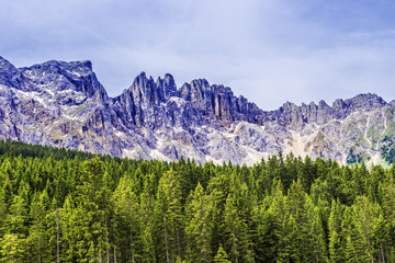 Fototapeta premium Wald und Gebirge