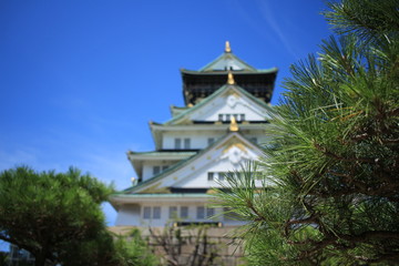 大阪城と大阪ビジネスパーク