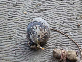 Trash on the seashore