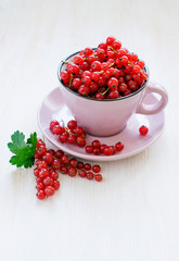 Red currants