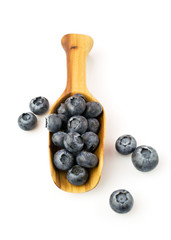 Ripe blueberries in wooden scoop