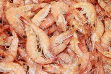 crevettes