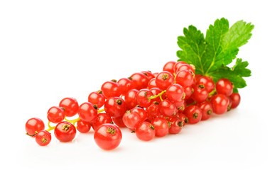 Bunch of red currant