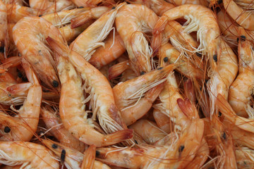 crevettes roses
