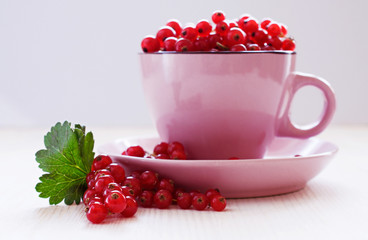 Red currants in a pink cup