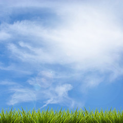 Obraz na płótnie Canvas Grass grass under blue sky and clouds