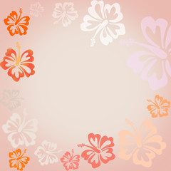 Fototapeta na wymiar Hibiscus flowers on pink background shaped as frame with space for your text