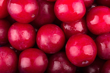 Red plum
