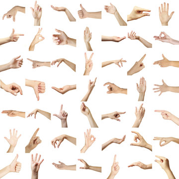 Collage of  hands showing different gestures, isolated on white