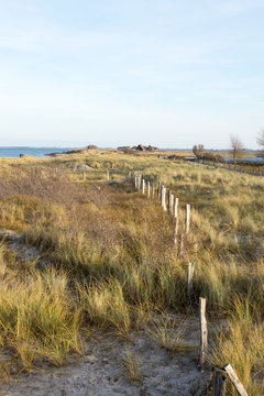 D&uuml;nenlandschaft auf dem Graswader in Heiligenhafen an der Ostsee, Deutschland