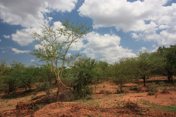 Fototapeta premium Omo Valley