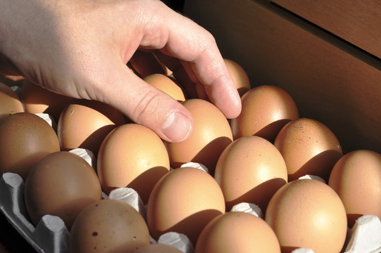 Chicken eggs in the package at the market