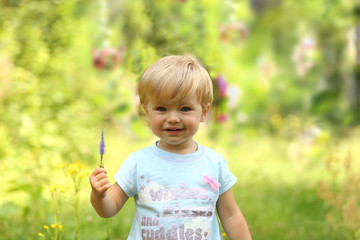 Mała śliczna dziewczynka z polnym kwiatkiem. - obrazy, fototapety, plakaty